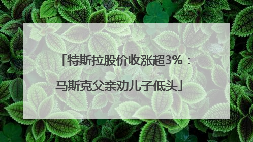 特斯拉股价收涨超3%：马斯克父亲劝儿子低头