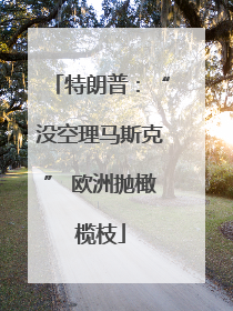 特朗普：“没空理马斯克” 欧洲抛橄榄枝
