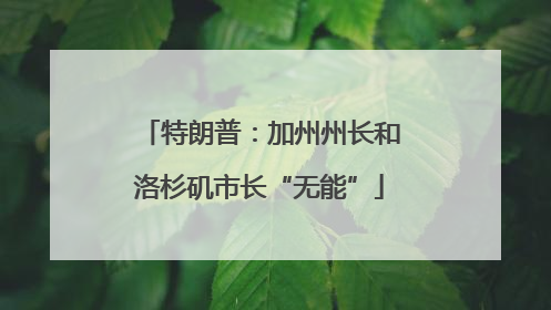 特朗普：加州州长和洛杉矶市长“无能”