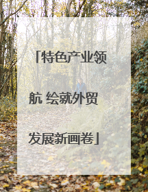 特色产业领航 绘就外贸发展新画卷