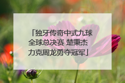 独牙传奇中式九球全球总决赛 楚秉杰力克周龙勇夺冠军