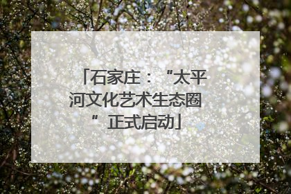 石家庄：“太平河文化艺术生态圈”正式启动