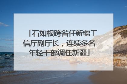 石如根跨省任新疆工信厅副厅长，连续多名年轻干部调任新疆