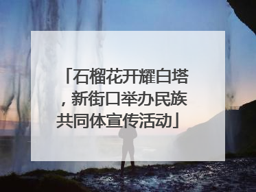 石榴花开耀白塔，新街口举办民族共同体宣传活动