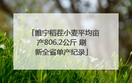 睢宁稻茬小麦平均亩产806.2公斤 刷新全省单产纪录