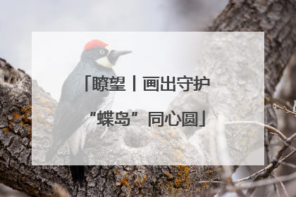 瞭望丨画出守护“蝶岛”同心圆