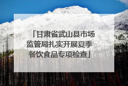 甘肃省武山县市场监管局扎实开展夏季餐饮食品专项检查