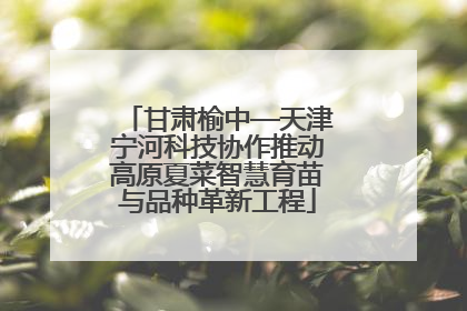 甘肃榆中—天津宁河科技协作推动高原夏菜智慧育苗与品种革新工程