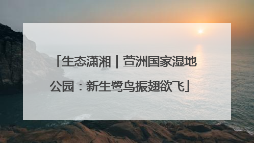 生态潇湘｜萱洲国家湿地公园：新生鹭鸟振翅欲飞