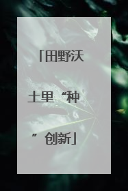 田野沃土里“种”创新