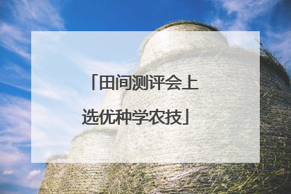 田间测评会上选优种学农技
