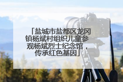 盐城市盐都区龙冈镇杨斌村组织儿童参观杨斌烈士纪念馆，传承红色基因