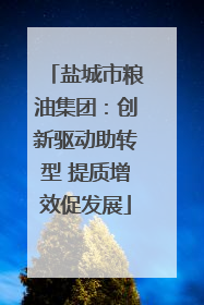 盐城市粮油集团：创新驱动助转型 提质增效促发展