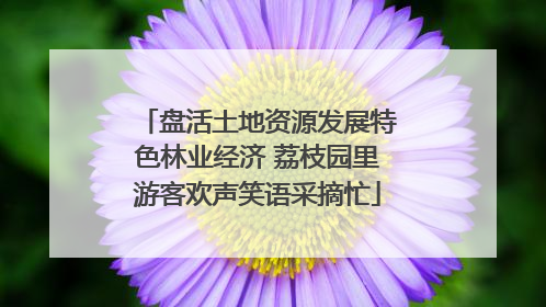 盘活土地资源发展特色林业经济 荔枝园里游客欢声笑语采摘忙