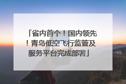 省内首个！国内领先！青岛低空飞行监管及服务平台完成部署