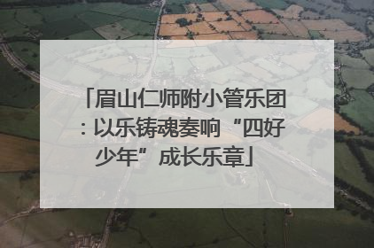 眉山仁师附小管乐团：以乐铸魂奏响“四好少年”成长乐章