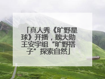 真人秀《旷野星球》开播，魏大勋王安宇组“旷野搭子”探索自然