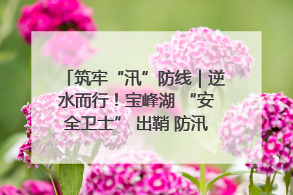 筑牢“汛”防线｜逆水而行！宝峰湖 “安全卫士” 出鞘 防汛应急再添硬核力量