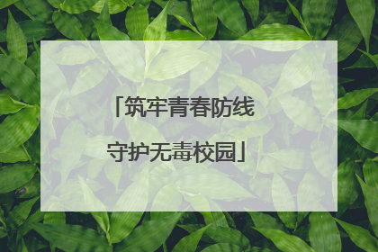 筑牢青春防线 守护无毒校园