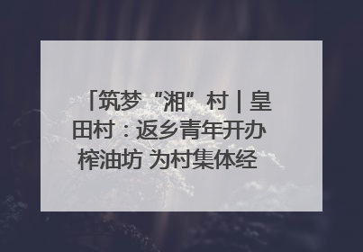筑梦“湘”村｜皇田村：返乡青年开办榨油坊 为村集体经济“加油”