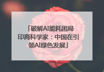破解AI能耗困局 印裔科学家：中国在引领AI绿色发展