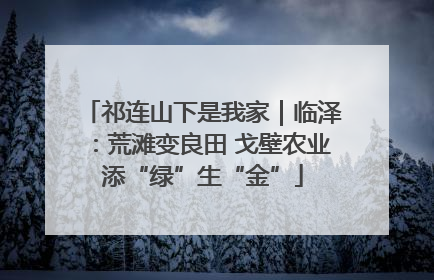 祁连山下是我家｜临泽：荒滩变良田 戈壁农业添“绿”生“金”