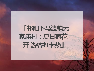 祁阳下马渡镇元家庙村：夏日荷花开 游客打卡热