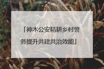 神木公安精耕乡村警务提升共建共治效能