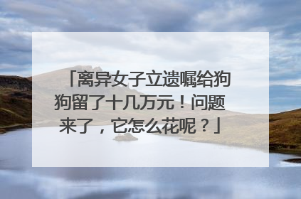离异女子立遗嘱给狗狗留了十几万元！问题来了，它怎么花呢？