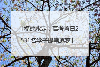 福建永定：高考首日2531名学子提笔逐梦