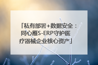 私有部署+数据安全：同心雁S-ERP守护医疗器械企业核心资产