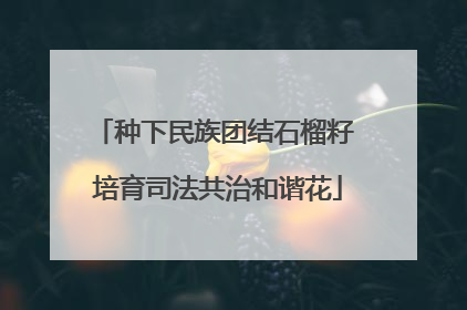 种下民族团结石榴籽 培育司法共治和谐花