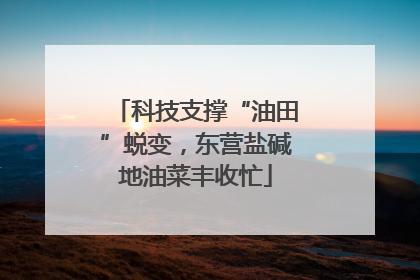 科技支撑“油田”蜕变，东营盐碱地油菜丰收忙