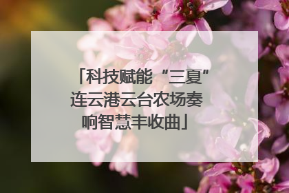 科技赋能“三夏” 连云港云台农场奏响智慧丰收曲
