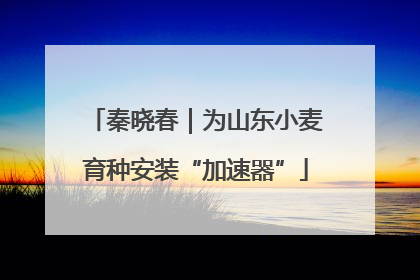 秦晓春｜为山东小麦育种安装“加速器”