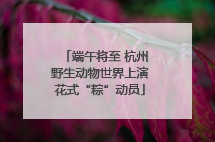 端午将至 杭州野生动物世界上演花式“粽”动员