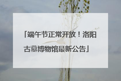 端午节正常开放！洛阳古墓博物馆最新公告