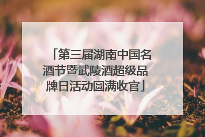 第三届湖南中国名酒节暨武陵酒超级品牌日活动圆满收官