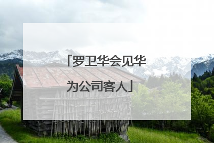 罗卫华会见华为公司客人