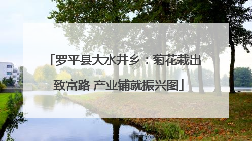 罗平县大水井乡：菊花栽出致富路 产业铺就振兴图