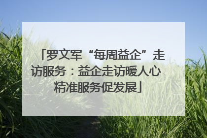 罗文军“每周益企”走访服务：益企走访暖人心 精准服务促发展