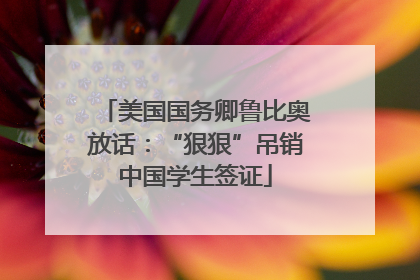 美国国务卿鲁比奥放话：“狠狠”吊销中国学生签证