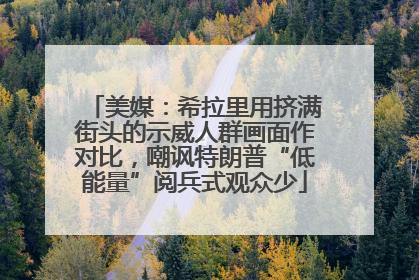 美媒：希拉里用挤满街头的示威人群画面作对比，嘲讽特朗普“低能量”阅兵式观众少