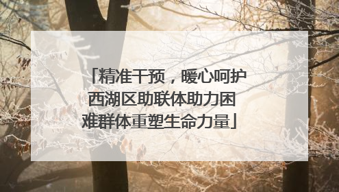 精准干预，暖心呵护 西湖区助联体助力困难群体重塑生命力量