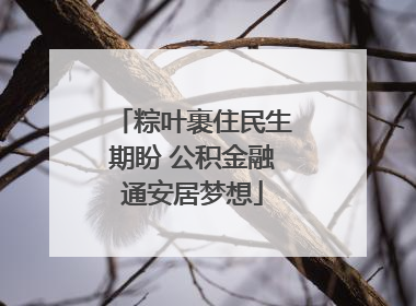粽叶裹住民生期盼 公积金融通安居梦想
