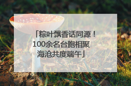 粽叶飘香话同源！100余名台胞相聚海沧共度端午