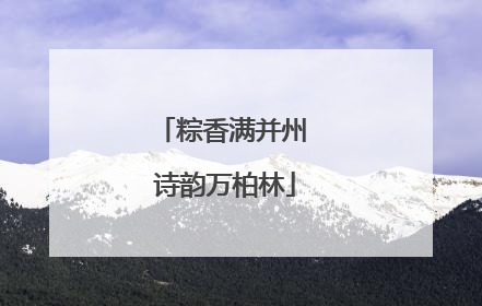 粽香满并州 诗韵万柏林