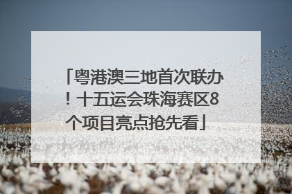 粤港澳三地首次联办！十五运会珠海赛区8个项目亮点抢先看