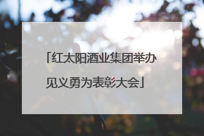 红太阳酒业集团举办见义勇为表彰大会