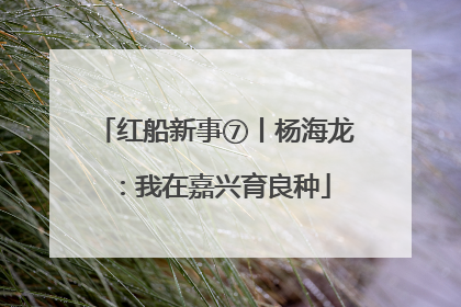红船新事⑦丨杨海龙：我在嘉兴育良种